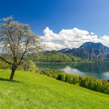 Strauss * Sankt Wolfgang im Salzkammergut