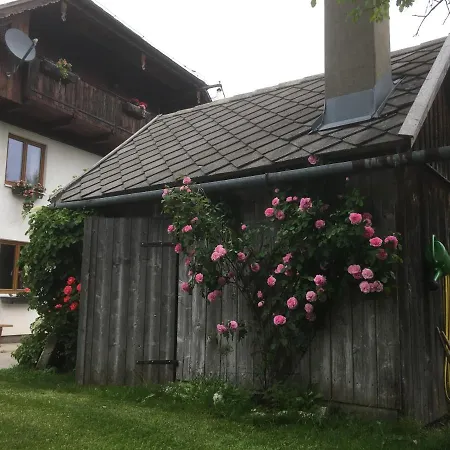 Appartement Strauss Saint Wolfgang