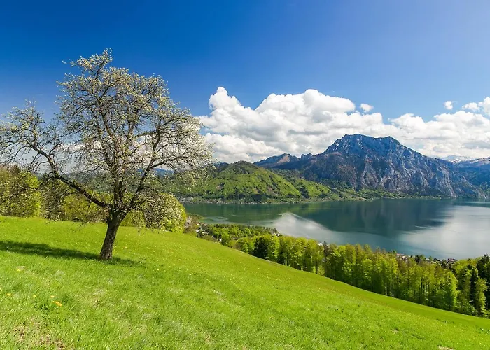 Strauss * Sankt Wolfgang im Salzkammergut