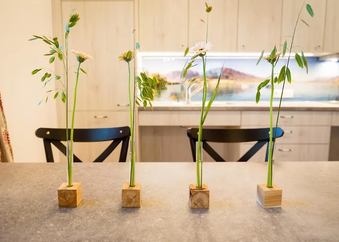 Strauss דירה Saint Wolfgang