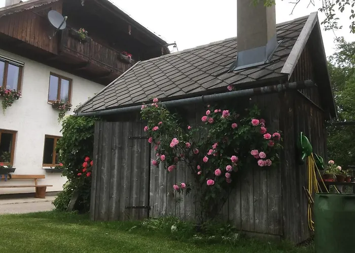 Appartement Strauss Saint Wolfgang